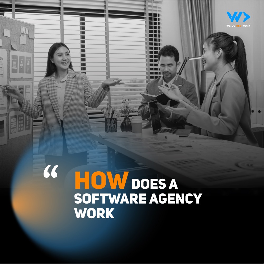 Software agency pricing models showing time & materials and fixed price options