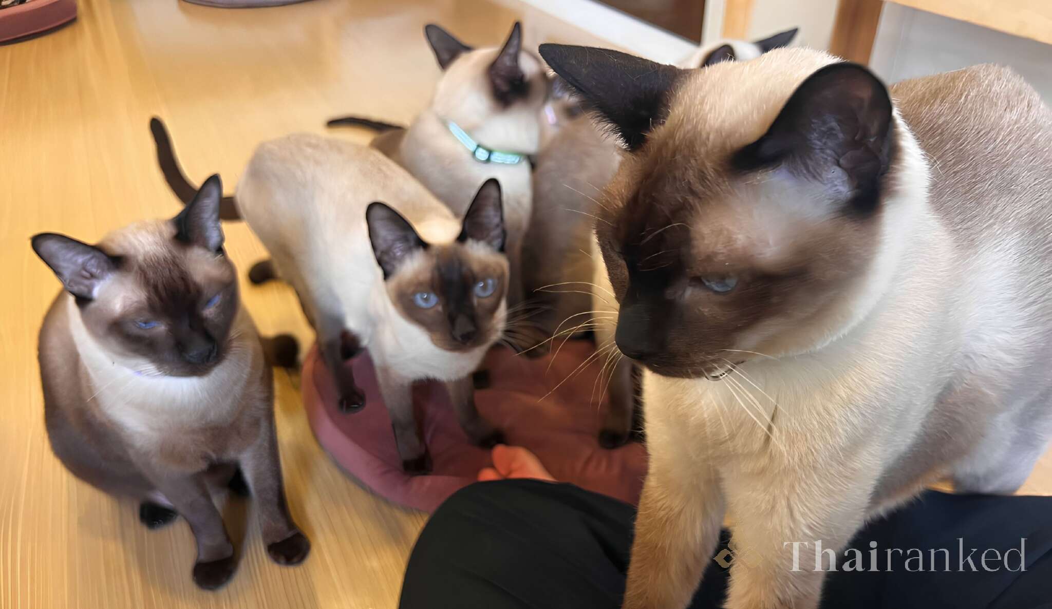 Chico Design Hostel & Cafe