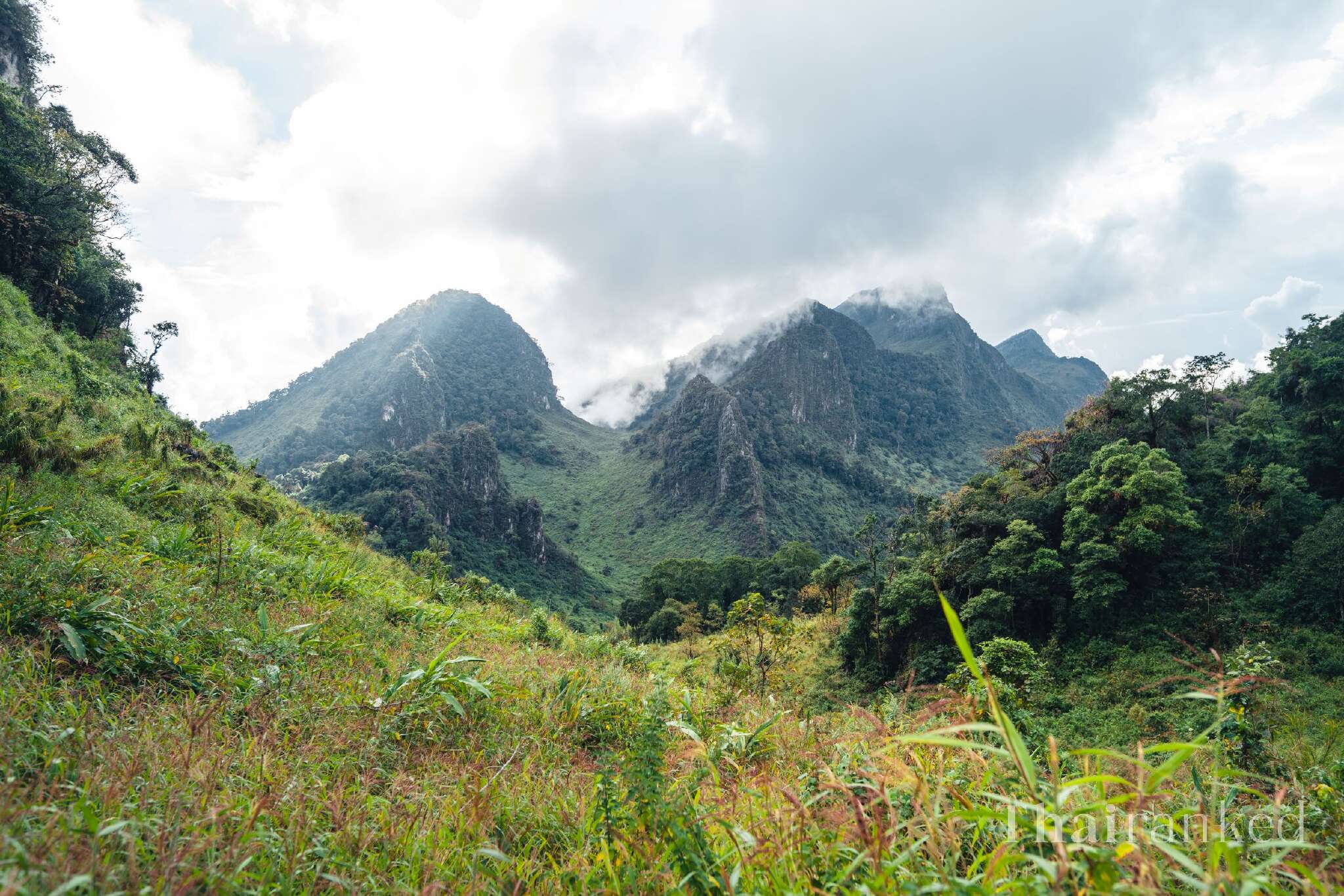 Doi Chiang Dao (Chiang Mai)