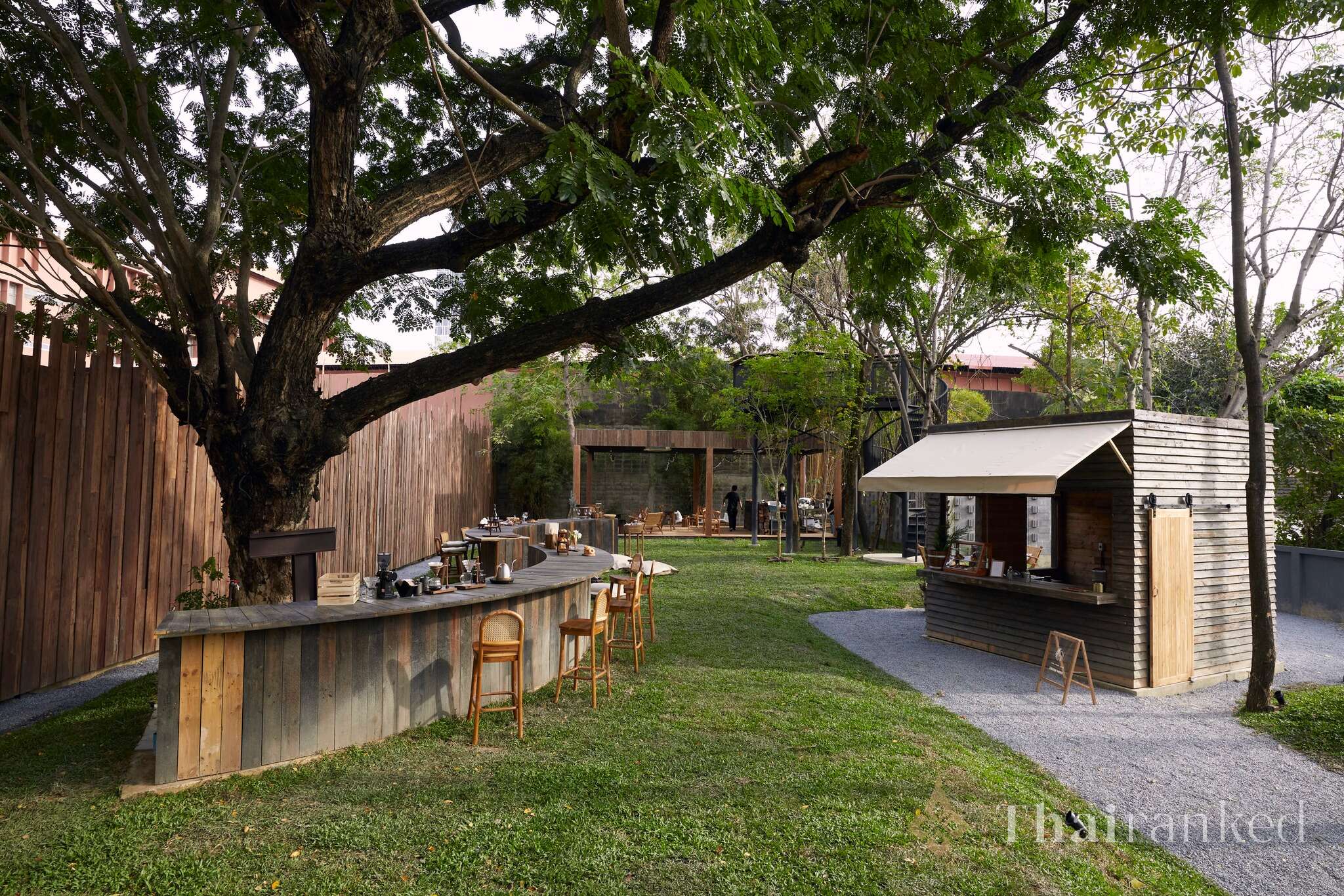 The Wood Land (BTS On Nut)