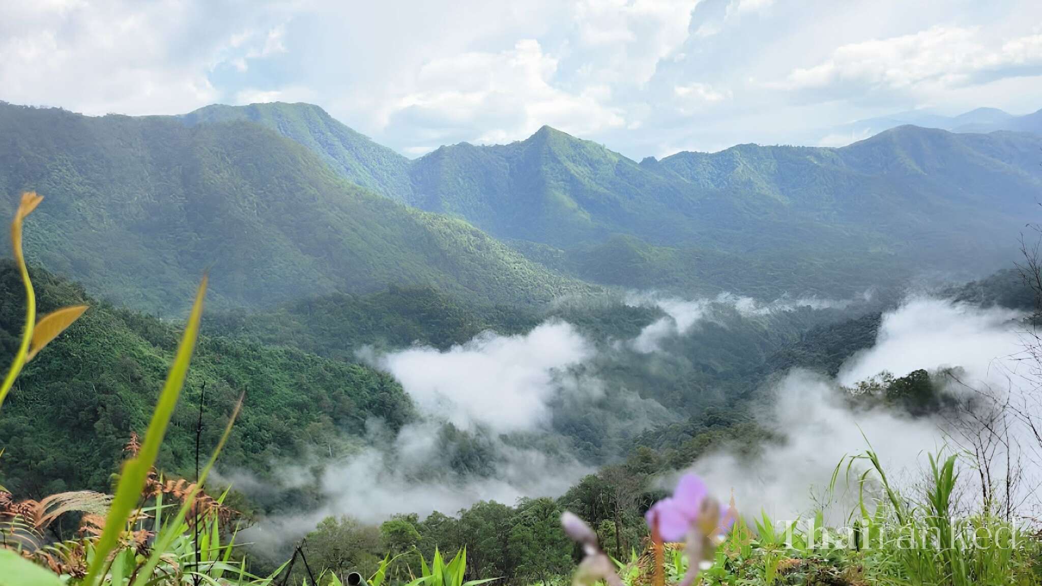 Phu Soi Dao (Uttaradit)