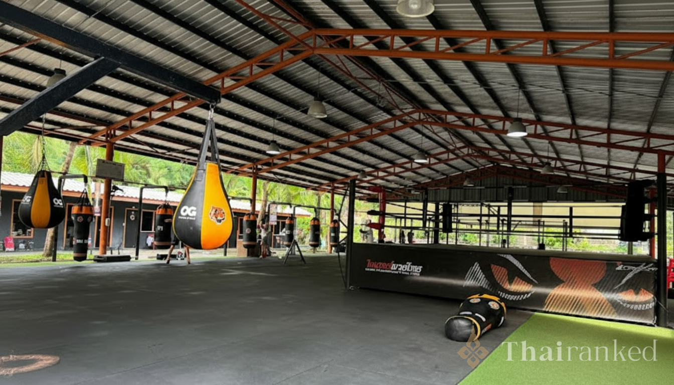 ไทเกอร์ มวยไทย - ภูเก็ต