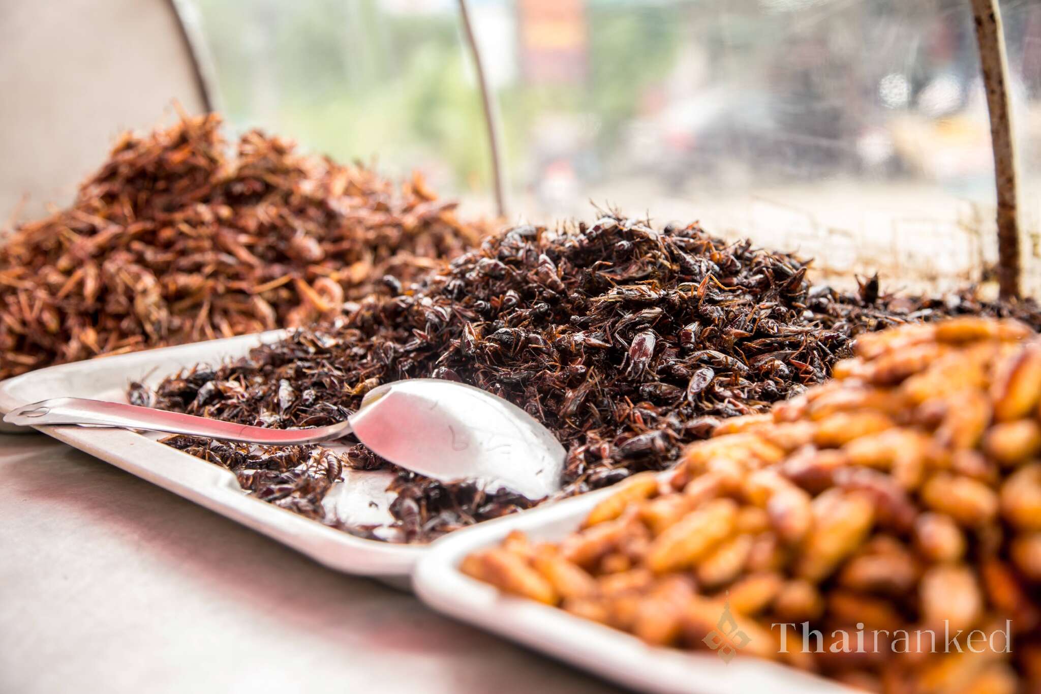 Fried Insects (Maelang Tod)
