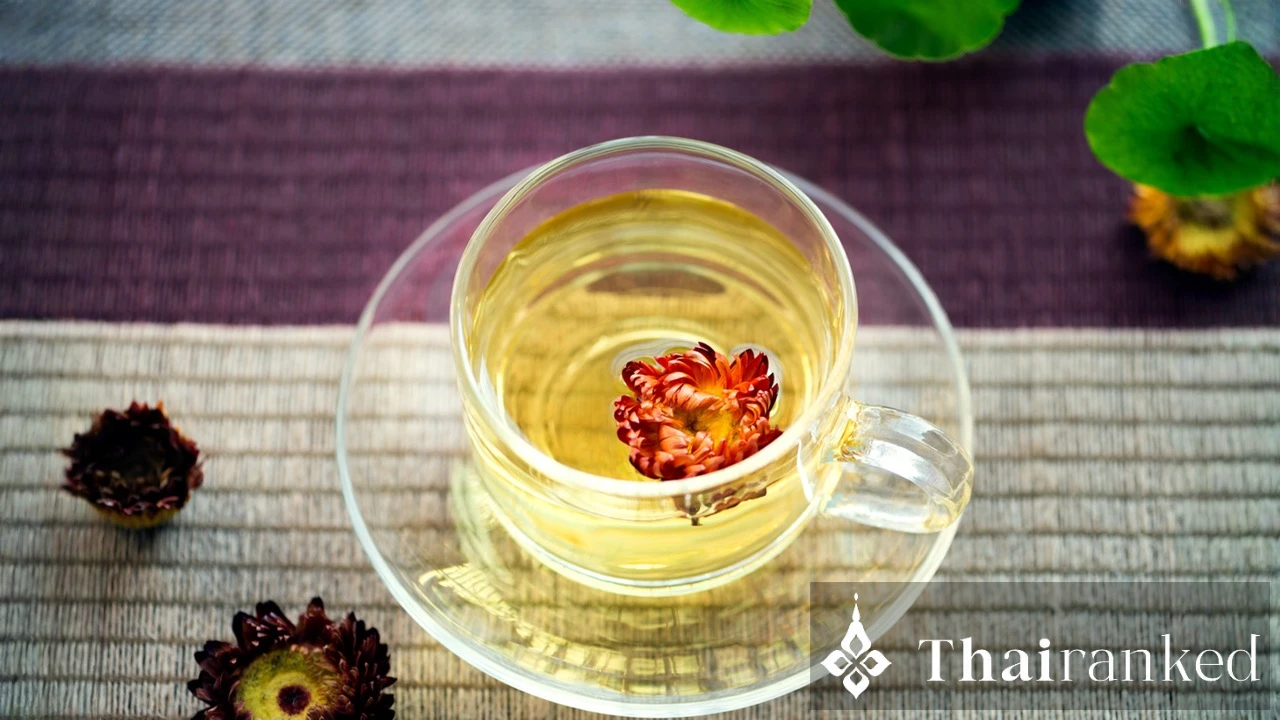 Chrysanthemum Tea