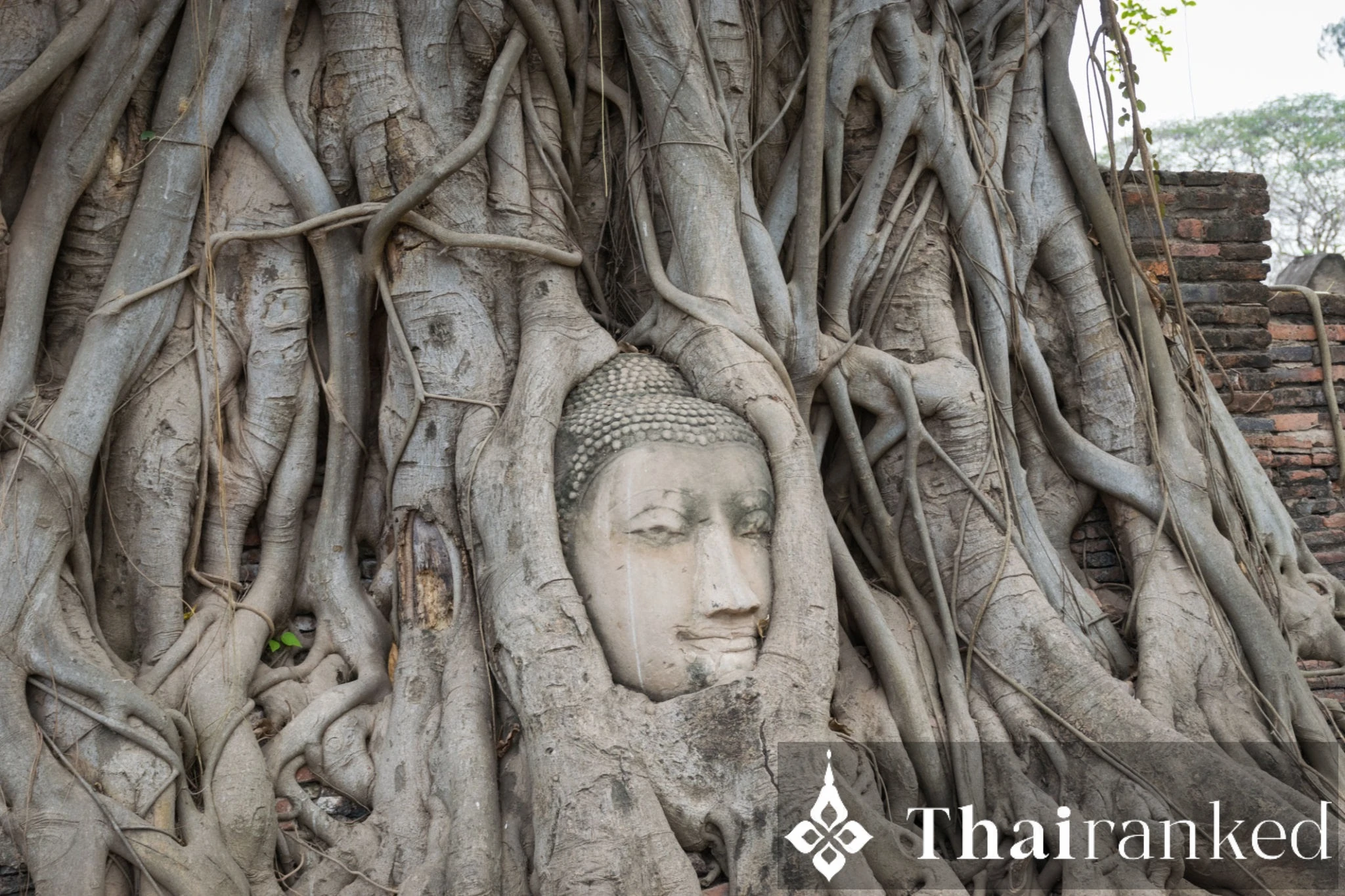Wat Mahathat (The Temple of the Great Relic)