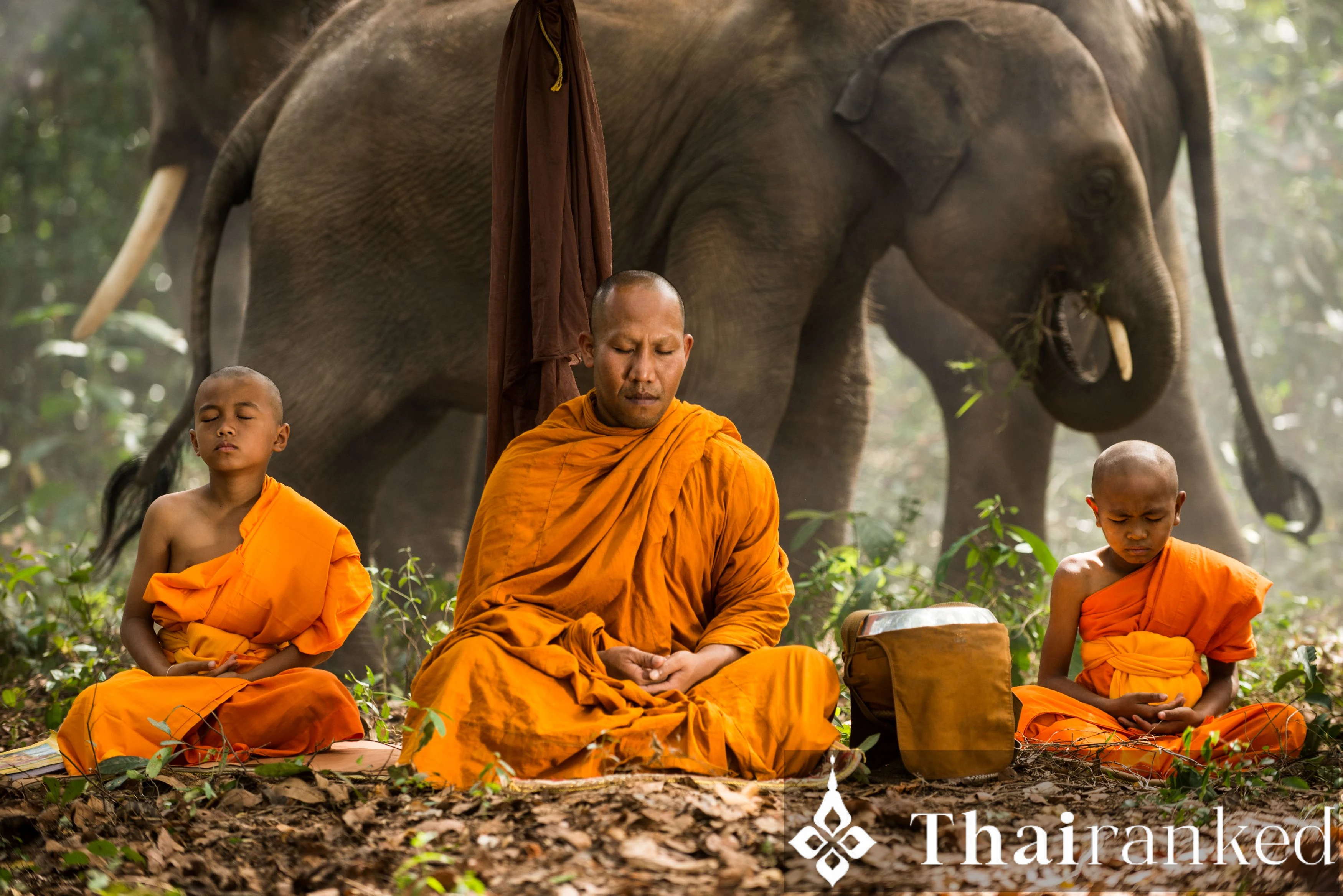 अंतर कैसे पहचानें: थाई बनाम बर्मीज़, लाओ, और कंबोडियन भिक्षु