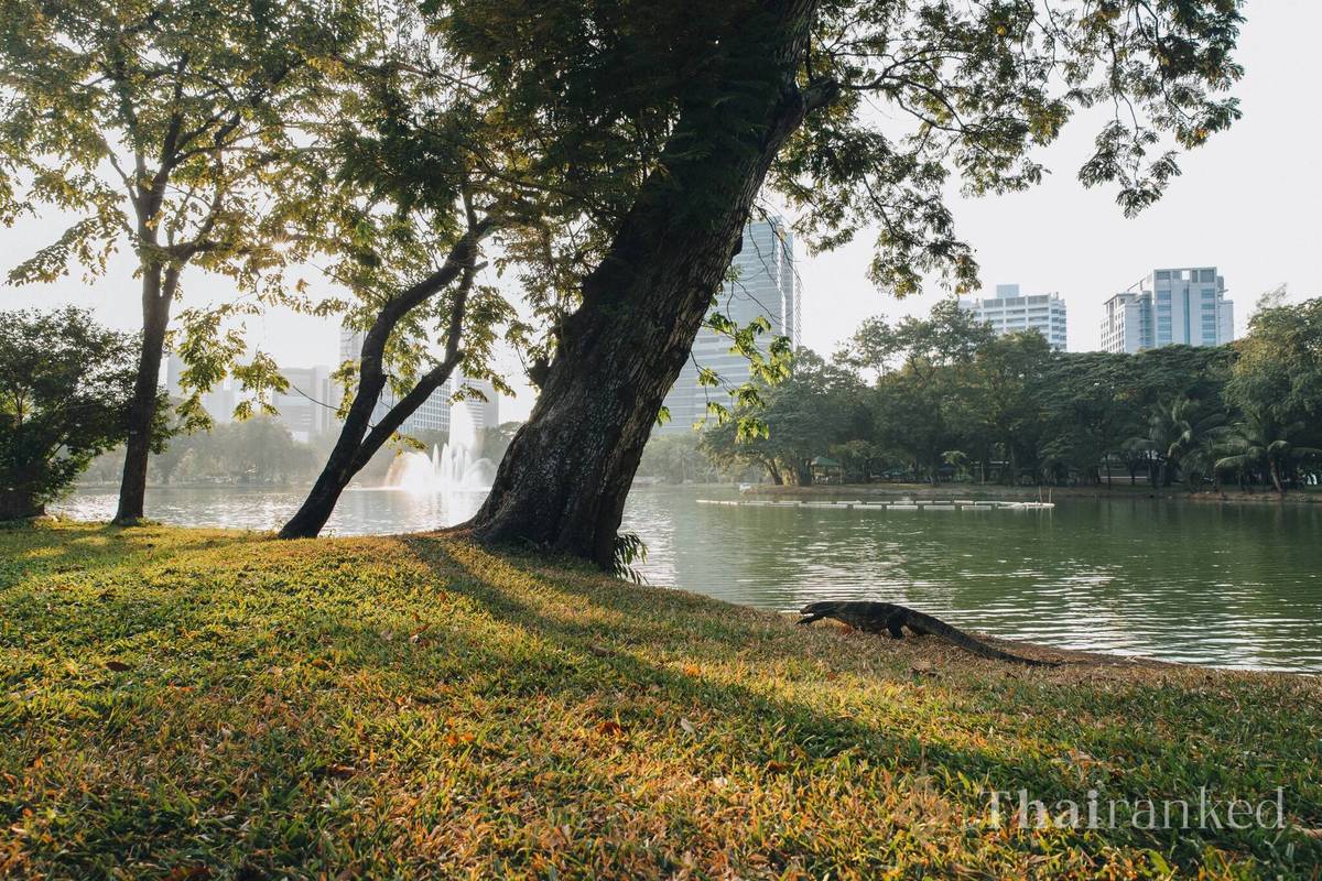 Which parks should you visit in Bangkok? - thumbnail