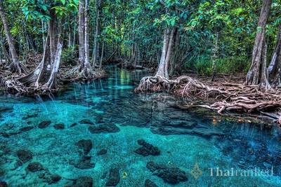Thung Teao Forest Natural Park