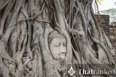 Wat Mahathat (The Temple of the Great Relic)