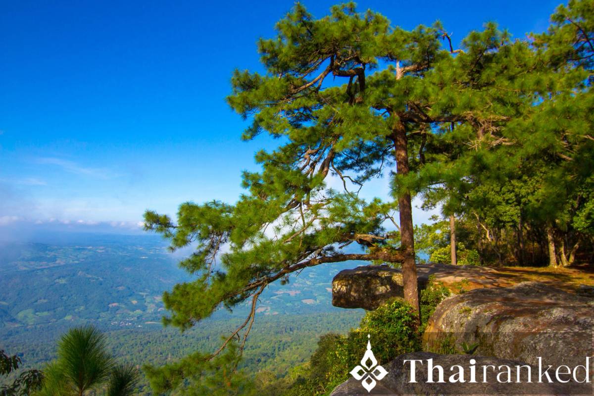 Phu Kradueng (Loei)